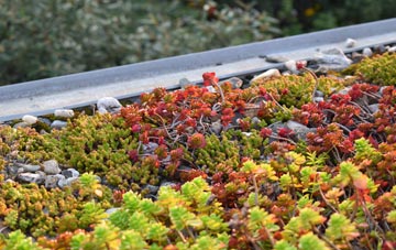 the cost of Balmullo green roof installation