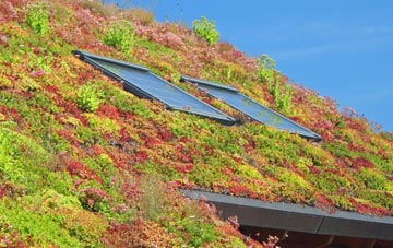 Balmullo living roof systems