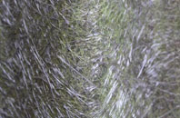 Balmullo fibreglass roof work